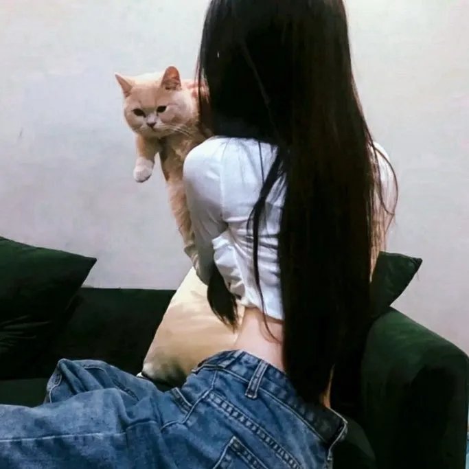 狼嚎:重生